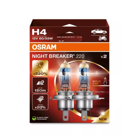OSRAM GLOBE 64193NB220