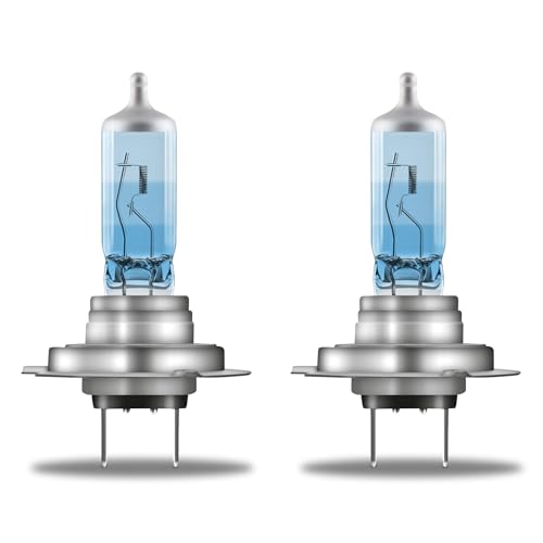 OSRAM GLOBE 64210CBN