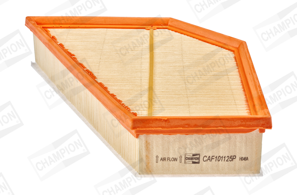 CHAMPION FILTER - AIR CAF101125P