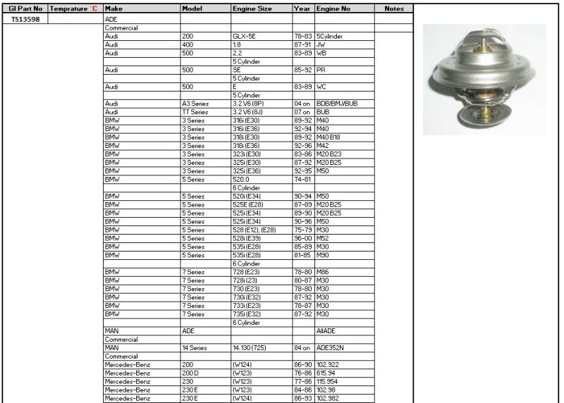 PLEXUS THERMOSTAT TS13598