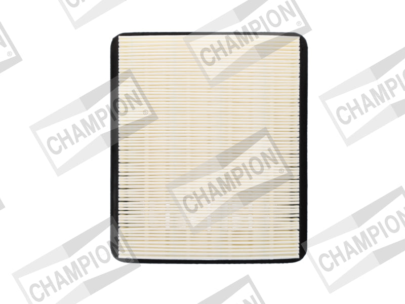 CHAMPION FILTER - AIR CAF100635P