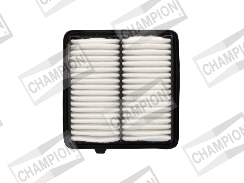 CHAMPION FILTER - AIR CAF101093P