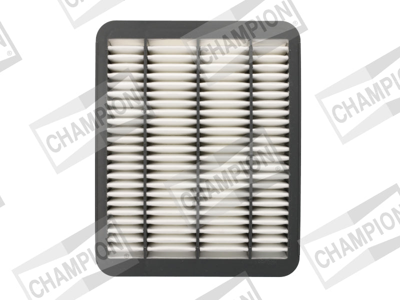 CHAMPION FILTER - AIR CAF101166P