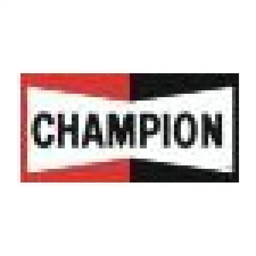 CHAMPION FILTER - FUEL CFF100750